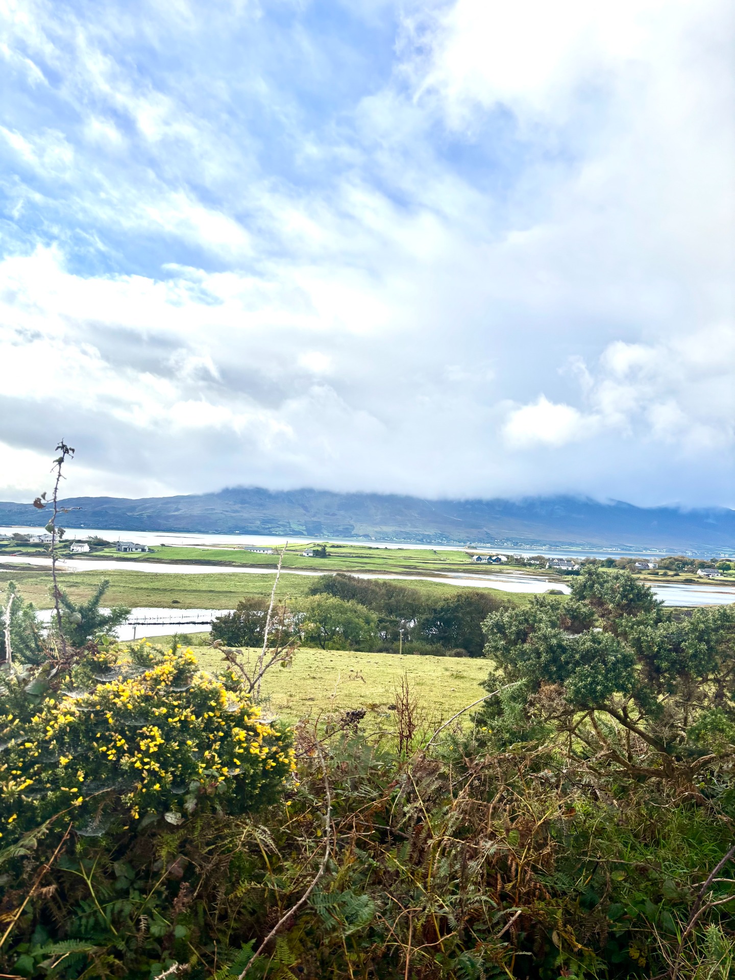 Rosmoney, Westport
